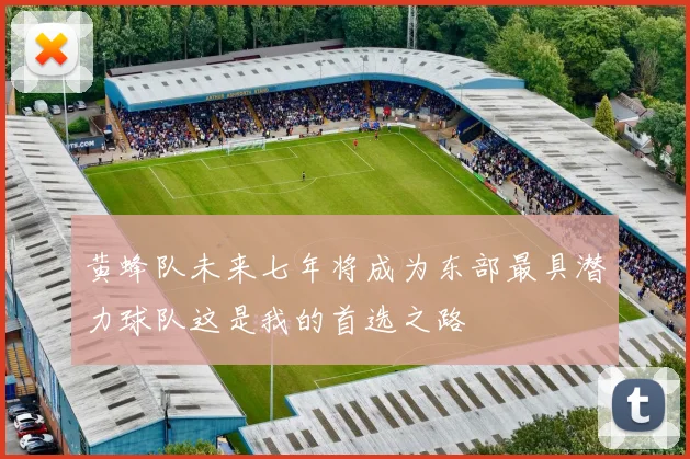 黄蜂队未来七年将成为东部最具潜力球队这是我的首选之路